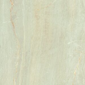 Fossil - Image 3