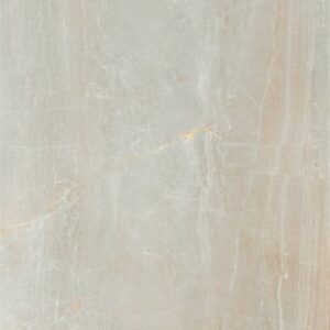 Fossil - Image 4