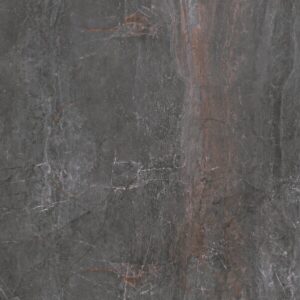 Fossil - Image 5