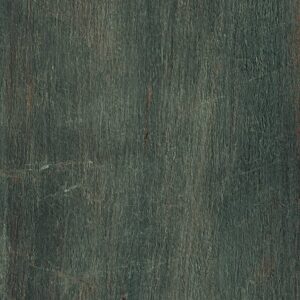 Fossil - Image 2