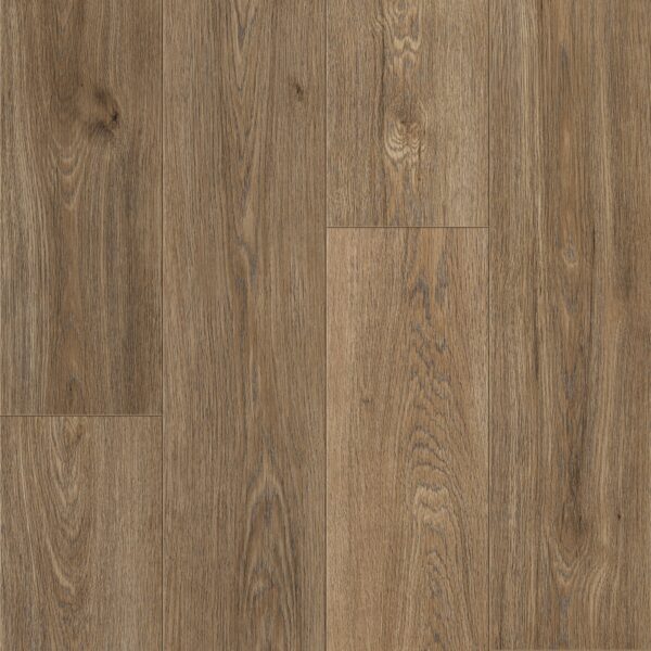 Keystone Plank