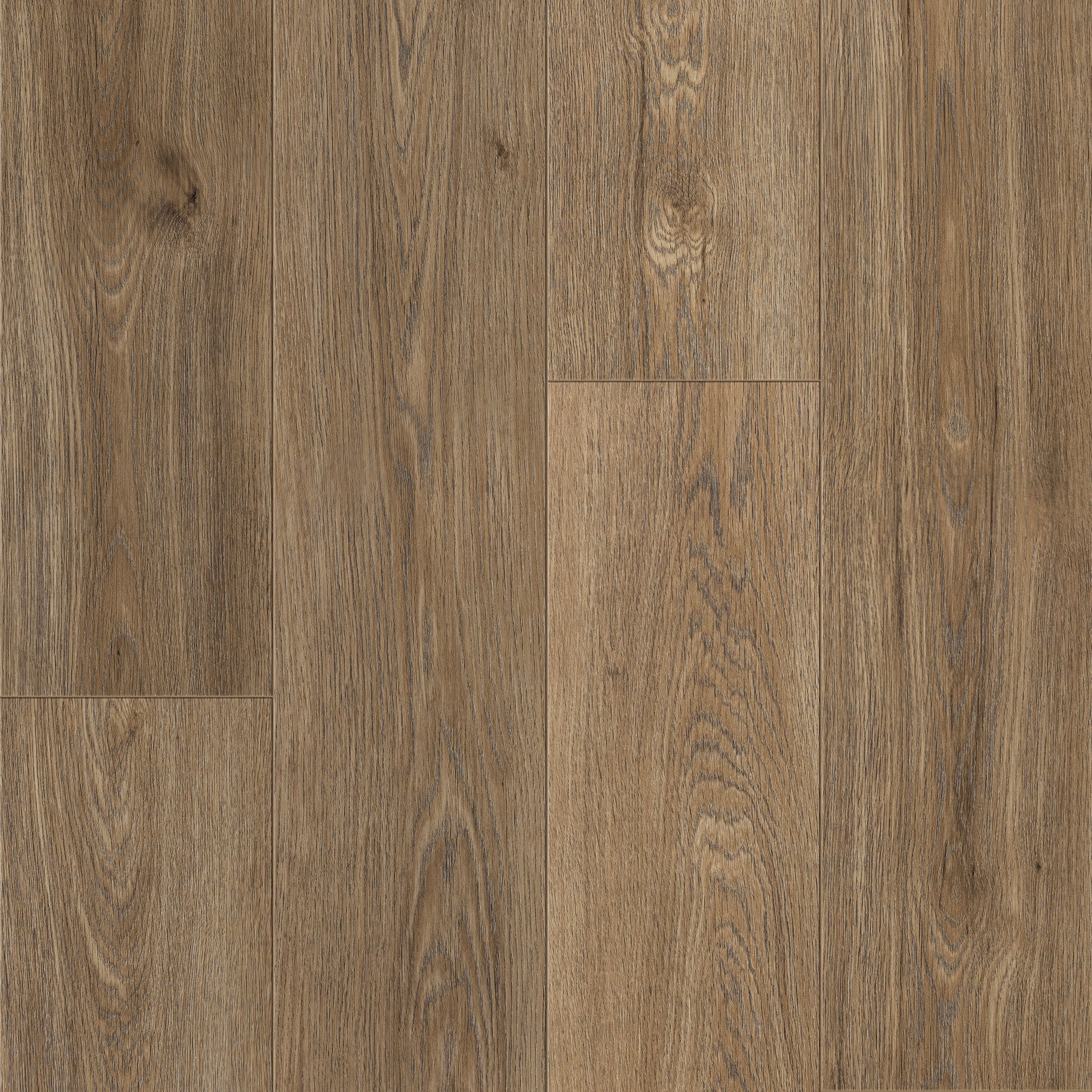 Keystone Plank - Image 13