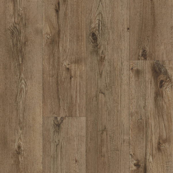 Keystone Plank