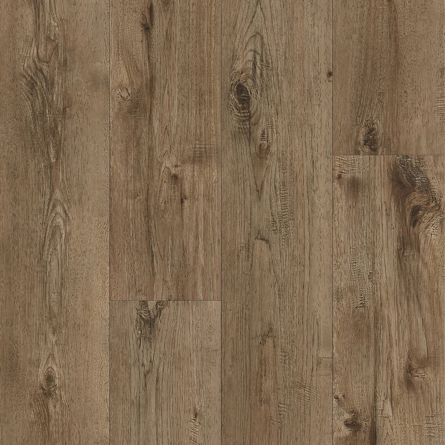 Keystone Plank - Image 7