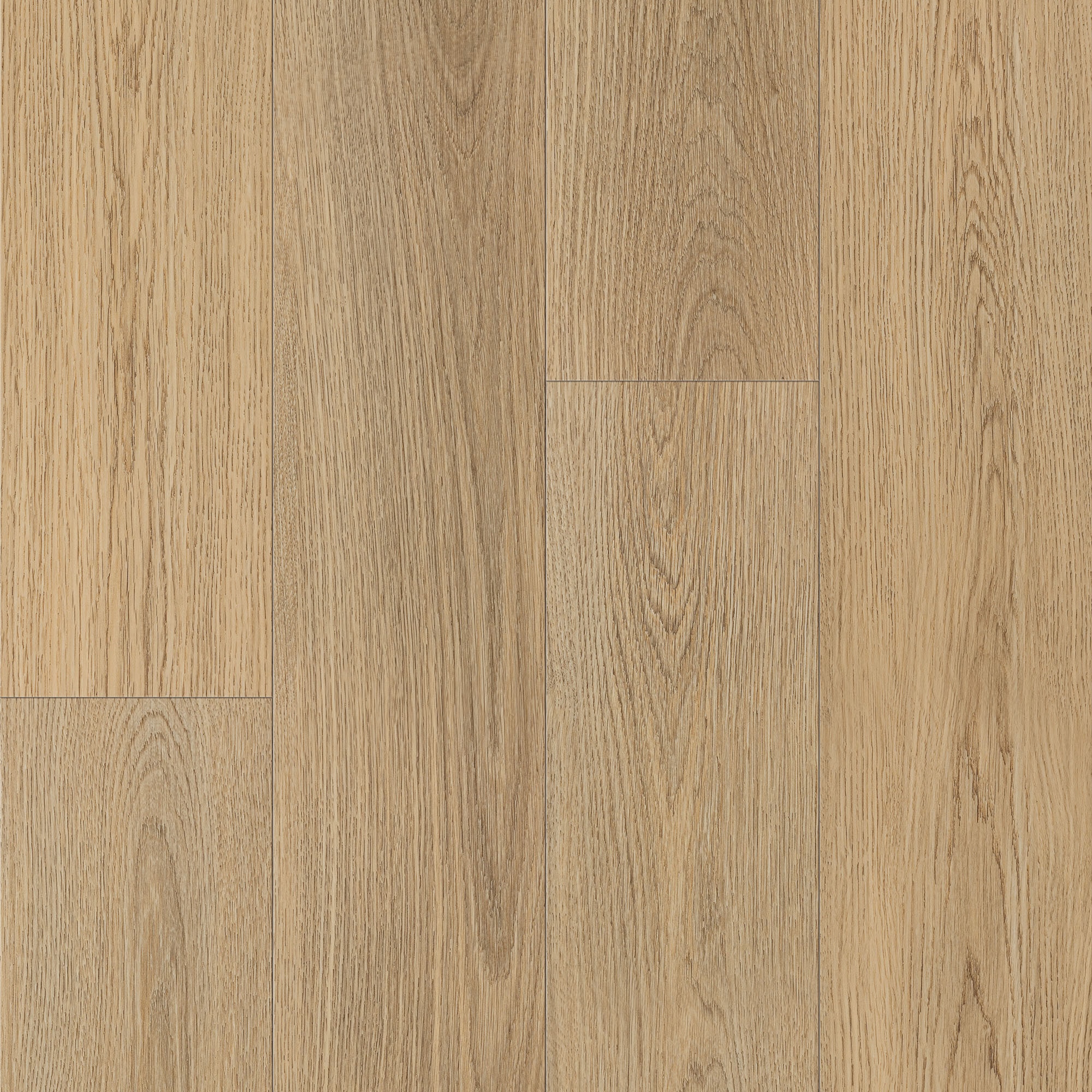 Keystone Plank - Image 11