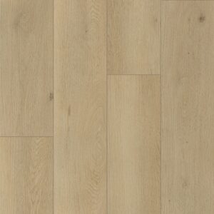 Keystone Plank - Image 12