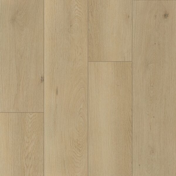 Keystone Plank