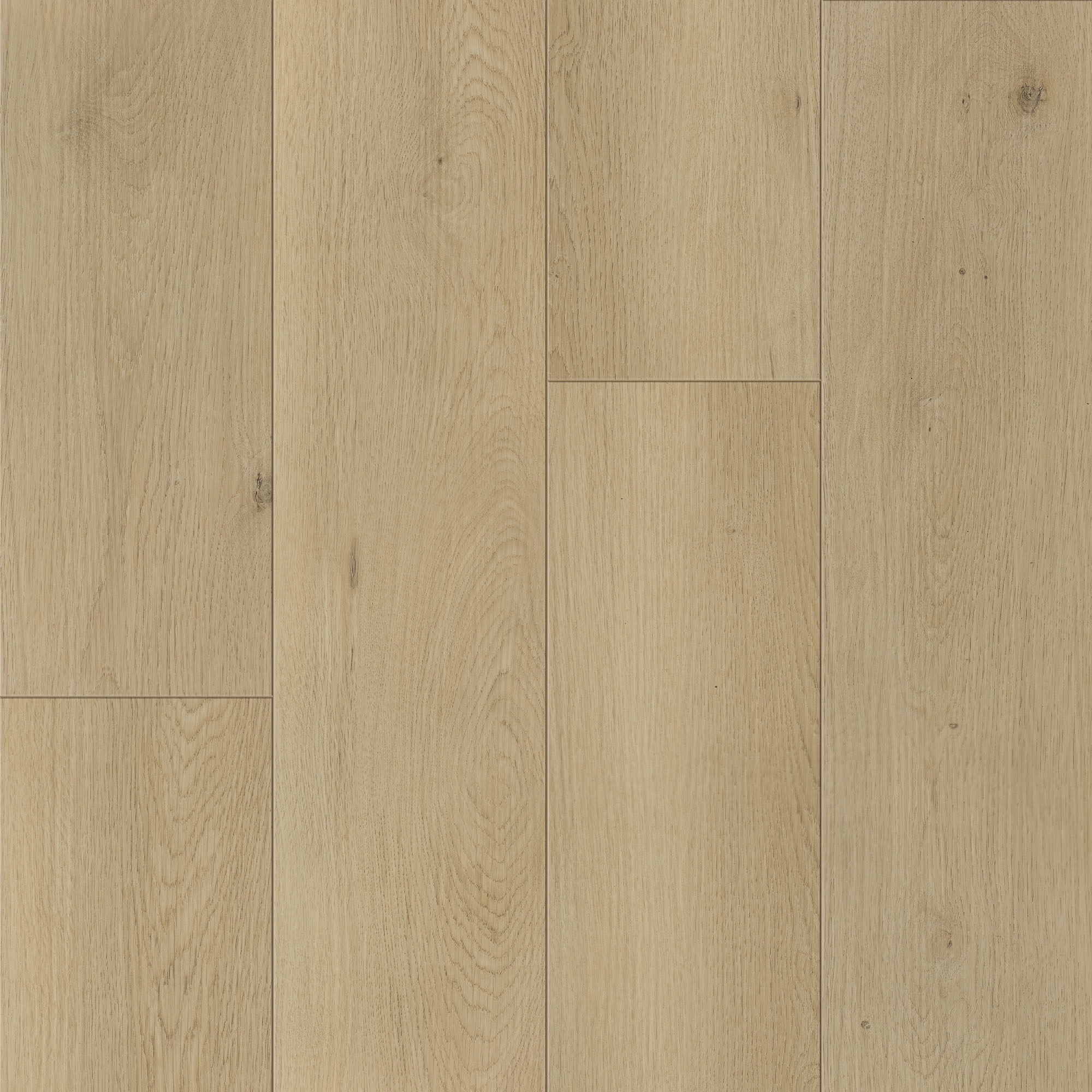 Keystone Plank - Image 12