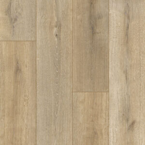 Keystone Plank - Image 18