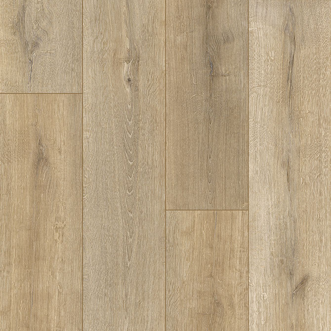Keystone Plank - Image 18