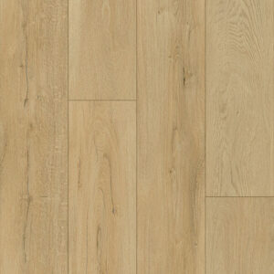 Keystone Plank - Image 19
