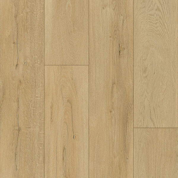 Keystone Plank