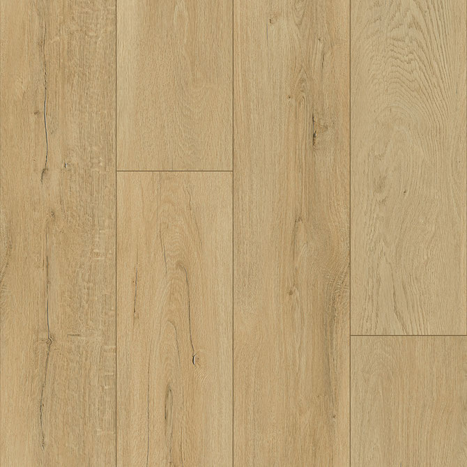 Keystone Plank - Image 19