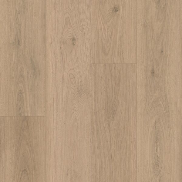 Keystone Plank