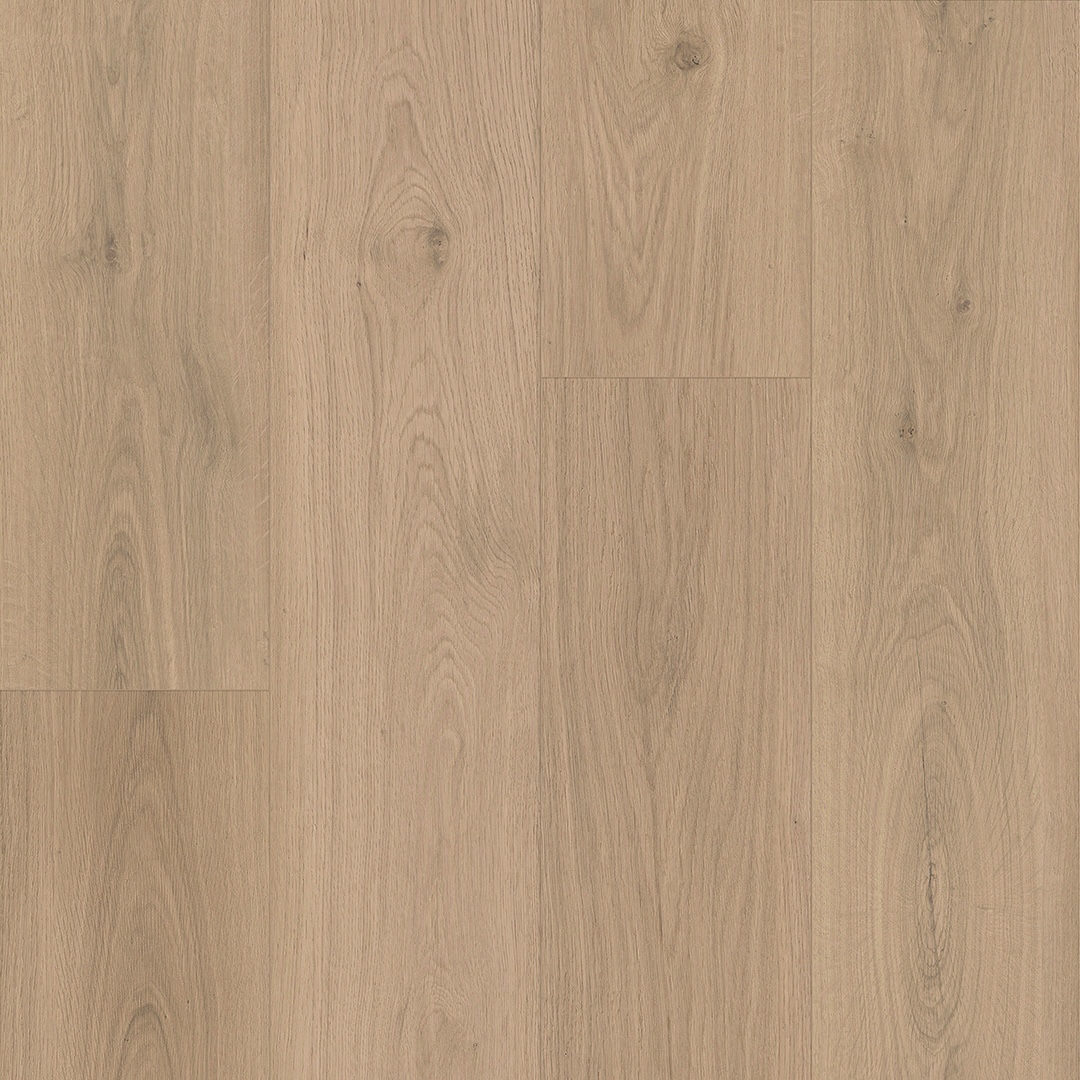 Keystone Plank - Image 20