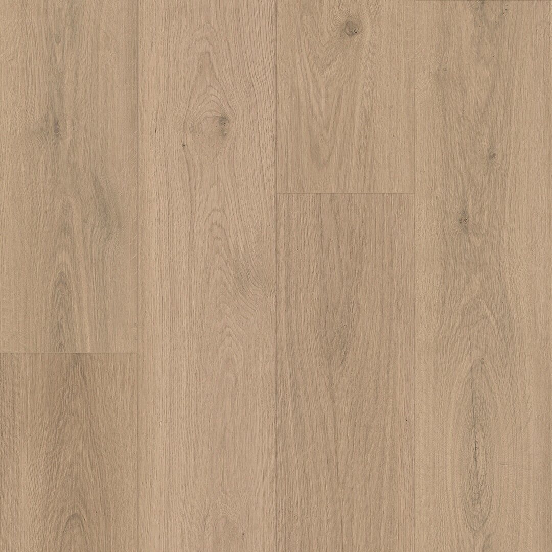 Bliss - Image 21