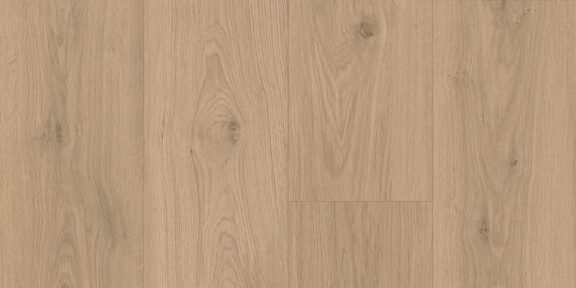 Keystone Plank – Dodger Point