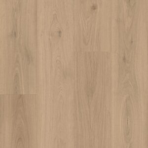 Keystone Plank - Image 22