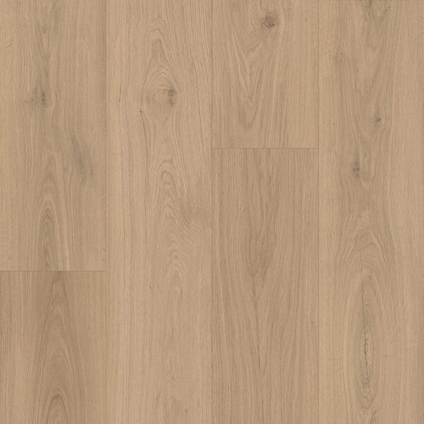 Keystone Plank