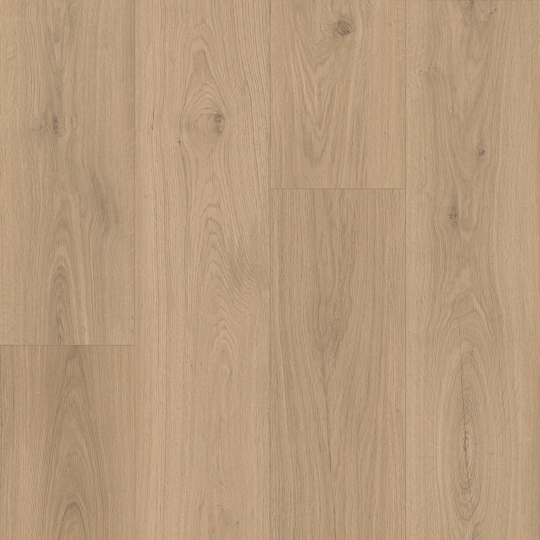 Keystone Plank - Image 22