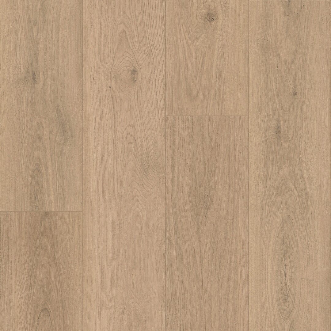 Bliss - Image 23