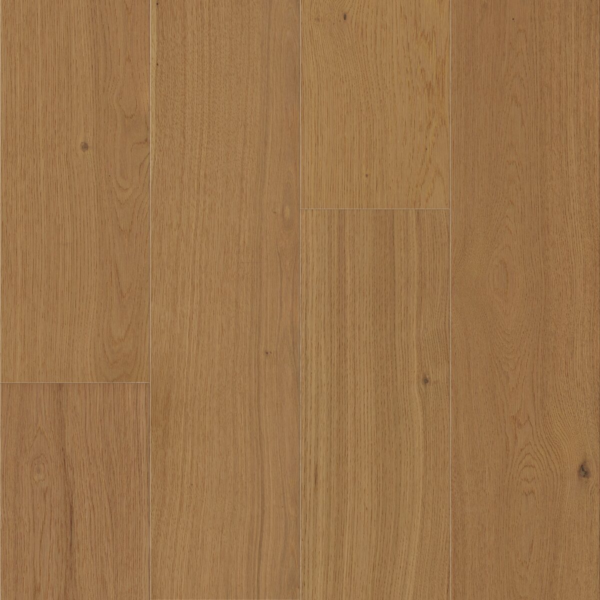 Lotus Lodge - Image 6