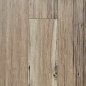 Streamside Hickory - Image 3