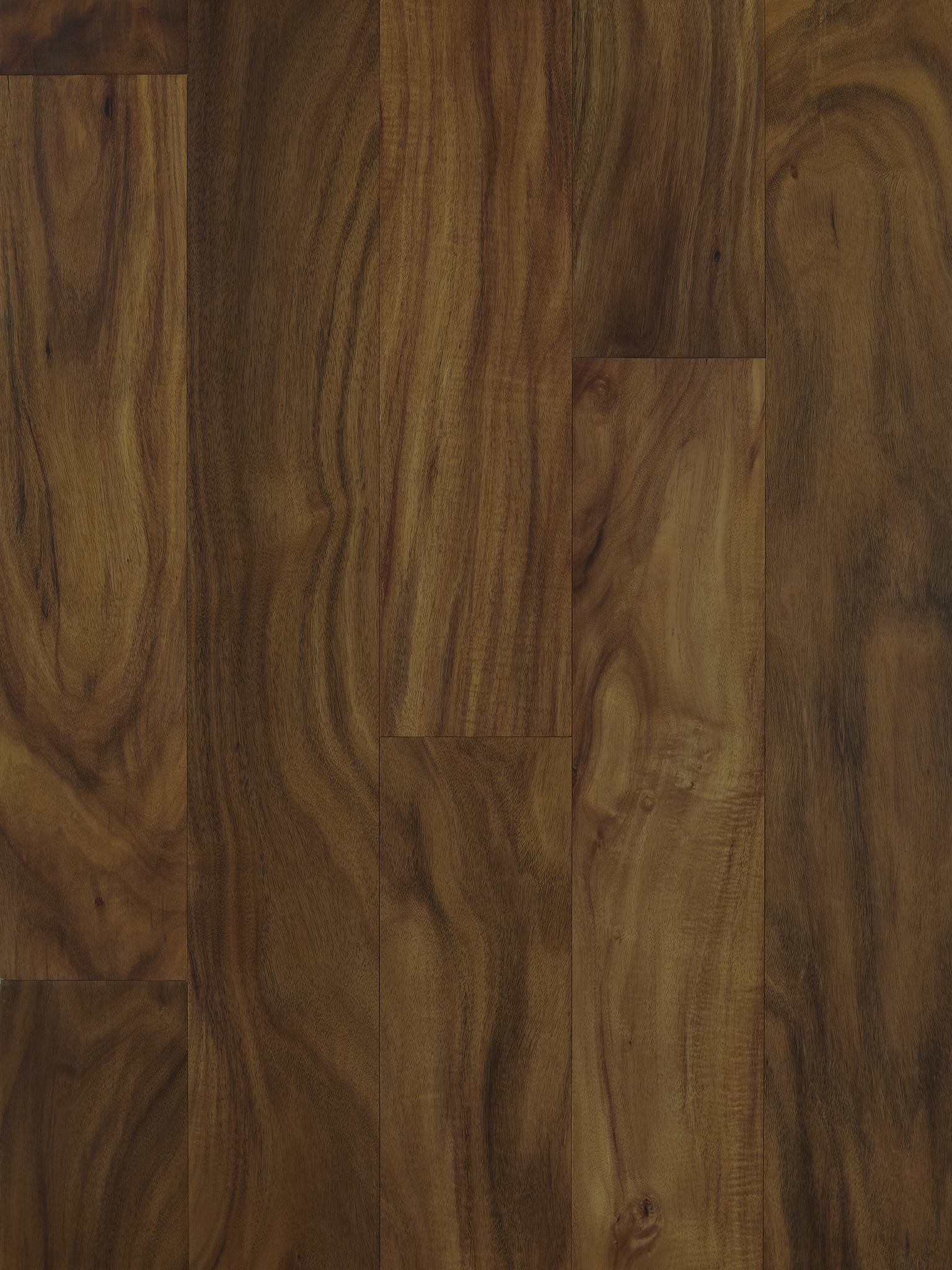Asian Walnut - Image 2