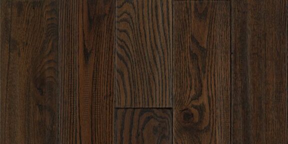 Mountain Heritage – Brown Bear