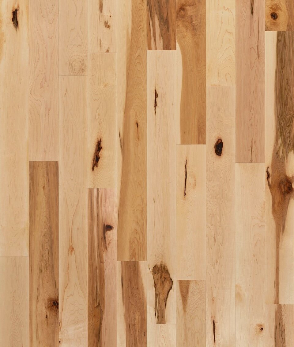 Forester - Image 2