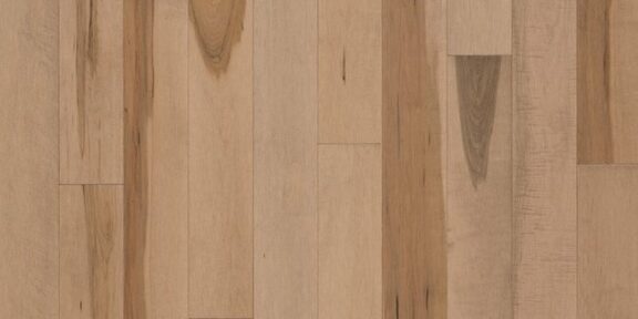 Forester – Champagne