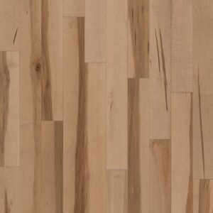 Forester - Image 3