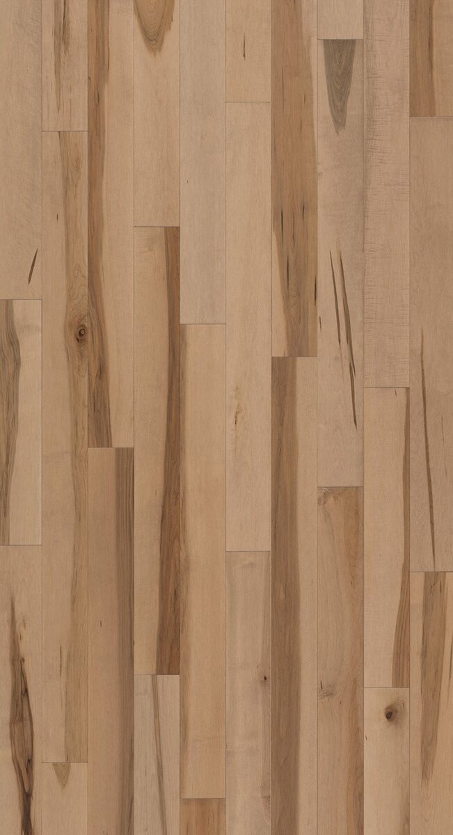 Forester - Image 3