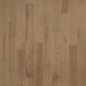 Forester - Image 4