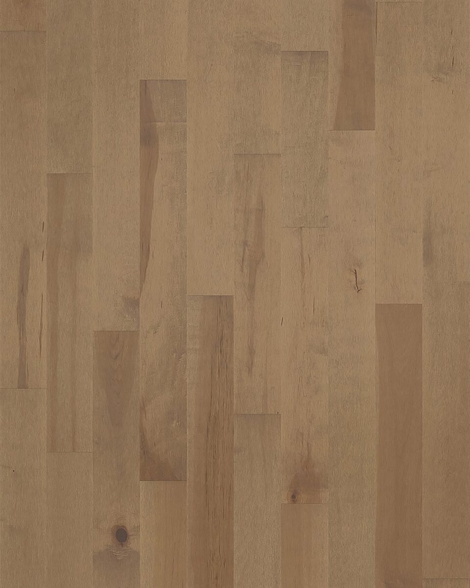 Forester - Image 4