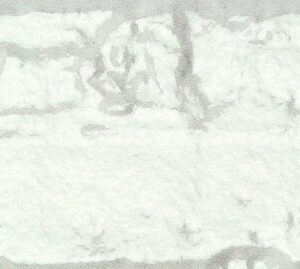 City - Image 13