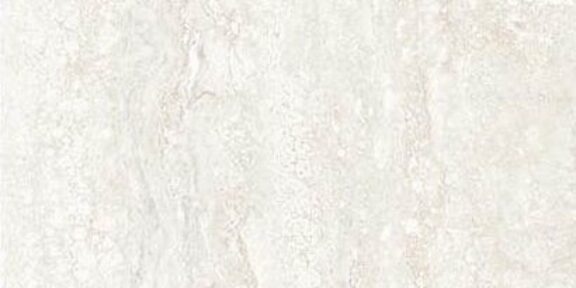 Forum – Ivory