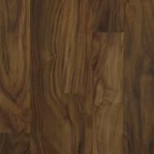 Acacia - Image 2