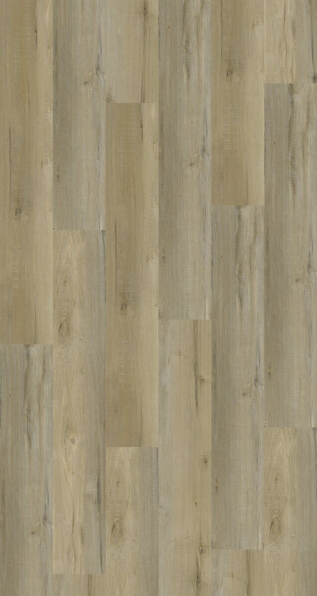 Bliss 5.0 Plank - Image 2