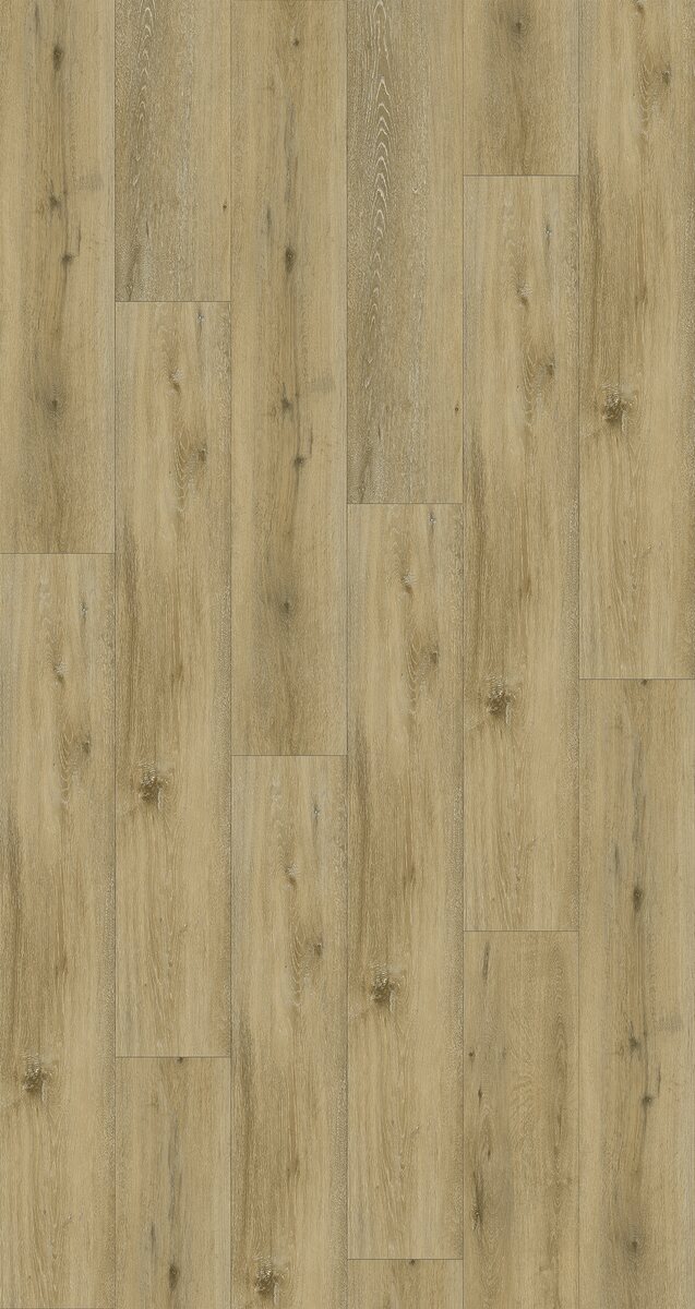 Bliss 5.0 Plank - Image 3