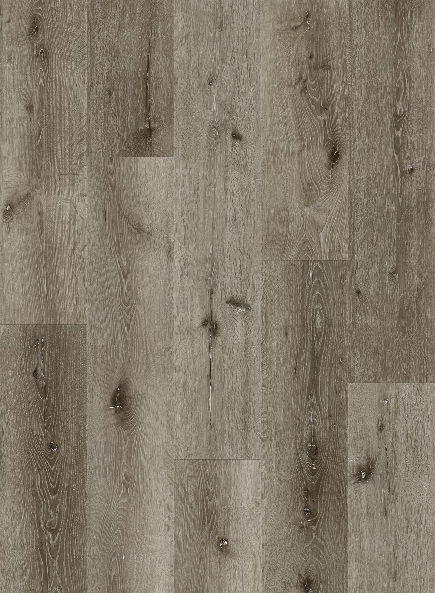 Bliss 5.0 Plank - Image 6