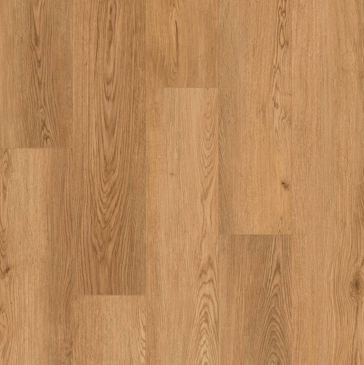 Cornerstone - Image 14
