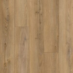 Capstone - Image 5