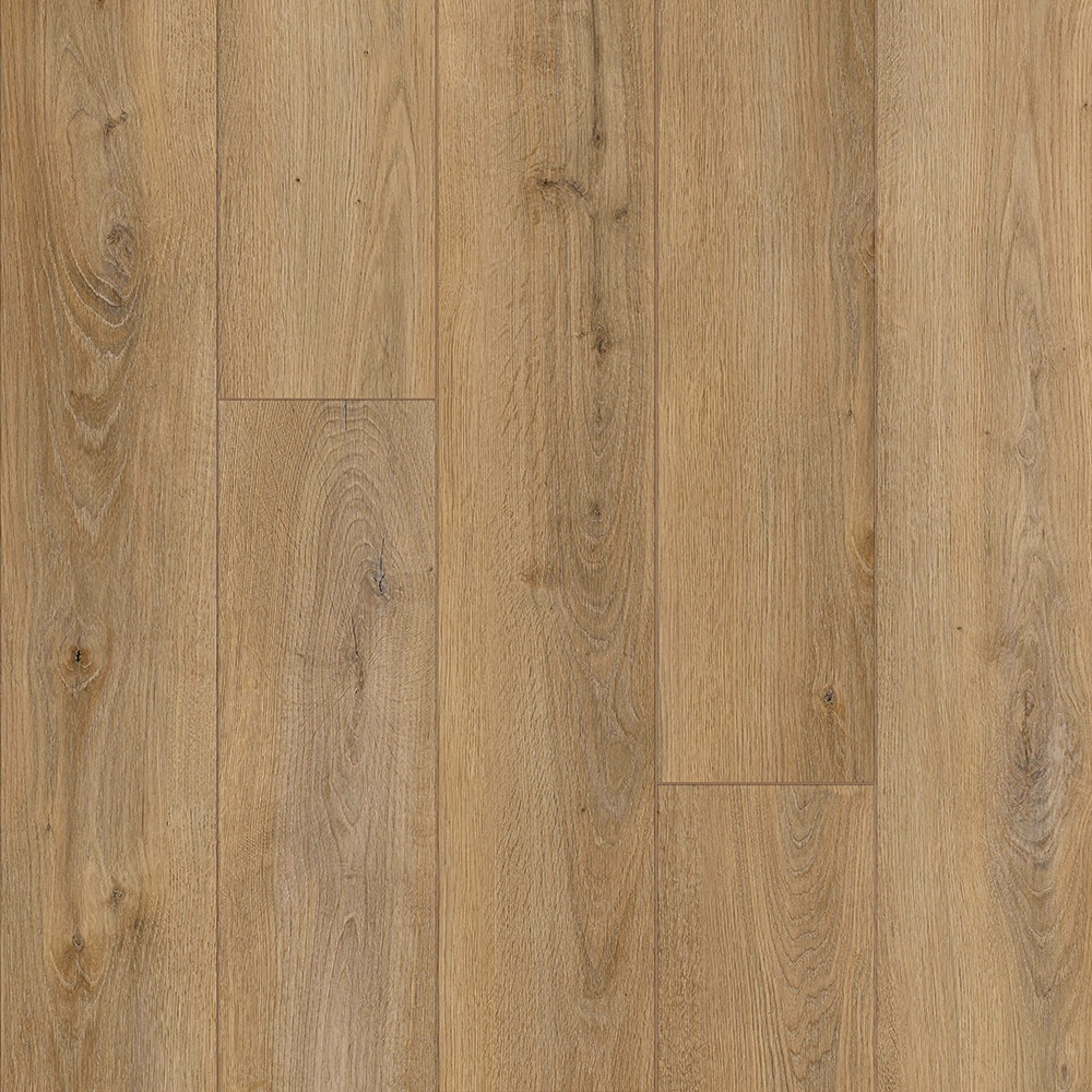 Capstone - Image 5