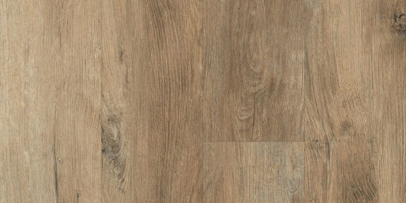 Keystone Plank – Bison