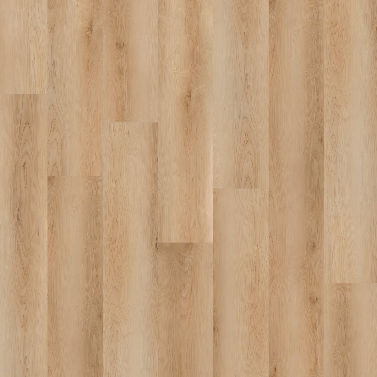 Signature - Image 40