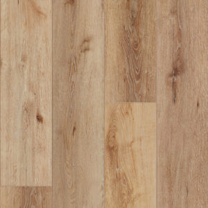 Keystone Plank - Image 2