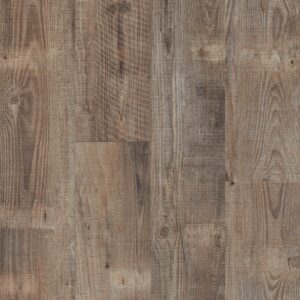 Keystone Plank - Image 4