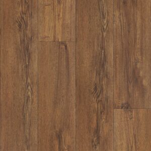 Keystone Plank - Image 6