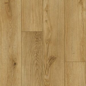 Keystone Plank - Image 16
